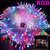 54LED Compact Cluster Lights for 12M Christmas Tree - Indoor  Outdoor Garden Party Wedding  - RGB Colour