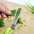 Multifunction 5 Blade Vegetable Chopper Paper Shredder cutting stainless Steel Herbs Scissor with Blade Comb and Cleanin
