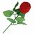 Valentine Day Special Velvet Rose Ring Box