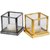 Creative Jack Golden Small Glass Cube Metal Candle Stand (3x3x2.5-Inches)