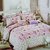 Buy Beautiful Glace Cotton Multi Color Bedsheet With two Cushion Covers
