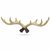 House of Quirk Deer Antlers Wall Mount Hooks for Wall Hanger Key Storage Holder Rack Wall Mount Home Decor (Size 38cm x