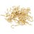 DIY Crafts 50 PCS Brass Plated Ceiling Cups Hooks Screw Hooks for Hanging 7/8 (Gold) Pieces