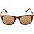 Adrian Wayfarer, Rectangular Sunglasses(Brown)