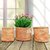 Jute grow-bag-for-plants - pack of 3