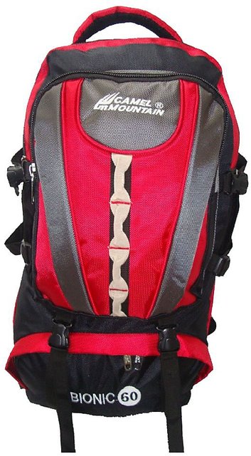 Buy Dezful School Bags for kids 34 L Laptop Backpack Red Online at Best  Prices in India  JioMart