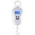 Hanging Weighing Scale- Smily