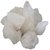 Natural White Alum Whol  pieces White Phitkari fitkari Pack of 450-gm