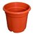 Flower Pots 8 inch Set of 5, Plant Container ( External Height - 20 cm)