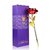 24K Red  Golden Rose With Gift Box And a Nice Carry Bag - Best Gift to Express love on Valentine's Day