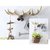 House of Quirk Deer Antlers Wall Mount Hooks for Wall Hanger Key Storage Holder Rack Wall Mount Home Decor (Size 38cm x