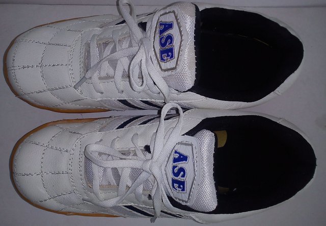 ase volleyball shoes