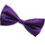 Wholesome Deal purple neck bow tie