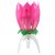 De-Ultimate Set Of 1 Multicolor Lotus Sparkle Musical Magical Flower Blossom For Happy Birthday Party Tuning Cake Candle