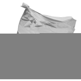                       AutoRetail UV Resistant Two Wheeler Polyster Cover for Bajaj Pulsar 150 DTS-i (Mirror Pocket, Grey Color)                                              