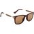 Adrian Wayfarer Sunglasses(Brown)