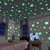 Night Glowing Radium Magic Stars for Room Ceiling (4 Design)