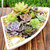 Mixed Rare Plant Exotic Succulent Seeds Flowering Living Stones Cactus 50 SEEDS