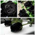 10 Pcs Mysterious Black Rose Flower Plant Seeds Beautiful Black Rose New