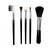 Branded Professional Cosmetic Brush Set Set Of 5
