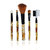 Amour Imported Make up Brushes 5 in 1 (Set of 5)