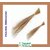 Tausif Creation West Bengal Tilli Jharu (Hard Natural Broom) Set of 2 Pc