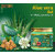 Indus Valley Bio Organic Hair Reborn Aloe Vera Gel With Bhringraj And  Walnut Oil For Ultimate Hair Management-175Ml