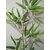 Style UR Home - Artificial Bamboo sticks with Natural touch Leafs (Pack of 6 )