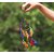 SCORIA Wall Hanging Round Multi-color Dream Catcher for Attract Positive Dreams Protect Sleeping People Children From Bad Dreams and Nightmares Decorative Showpiece Decorative Showpiece - 45 cm