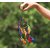 SEGGO Wall Hanging Round Multi-color Dream Catcher for Attract Positive Dreams Protect Sleeping People Children From Bad Dreams and Nightmares Decorative Showpiece Decorative Showpiece - 45 cm