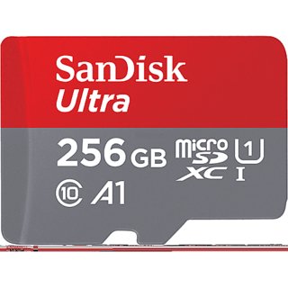                       Sandisk Ultra Micro Sd cards 256 gb(upto 100 mpbs)                                              