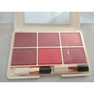 Buy Cameleon 6 In 1 Waterproof Blusher Online Get 55 Off