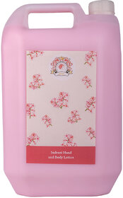 Indrani Hand Beaty Lotion 5 litre