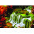 Vastu Natural Water Fall Beautiful Wallpaper Sticker. 10