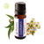 Eucalyptus Essential Oil Pure and Natural Therapeutic Grade 10 ML