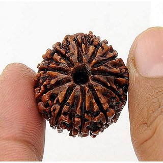 Original Certified Moksha Shiv Shakti Beads 11 Mukhhi Rudraksha By CEYLONMINE Original Certified Moksha Shiv Shakti Beads 11 Mukhhi Rudraksha By CEYLONMINE