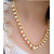 Bhagya Lakshmi Women's Pride AD Stone Mala Necklace With Earrings For Women