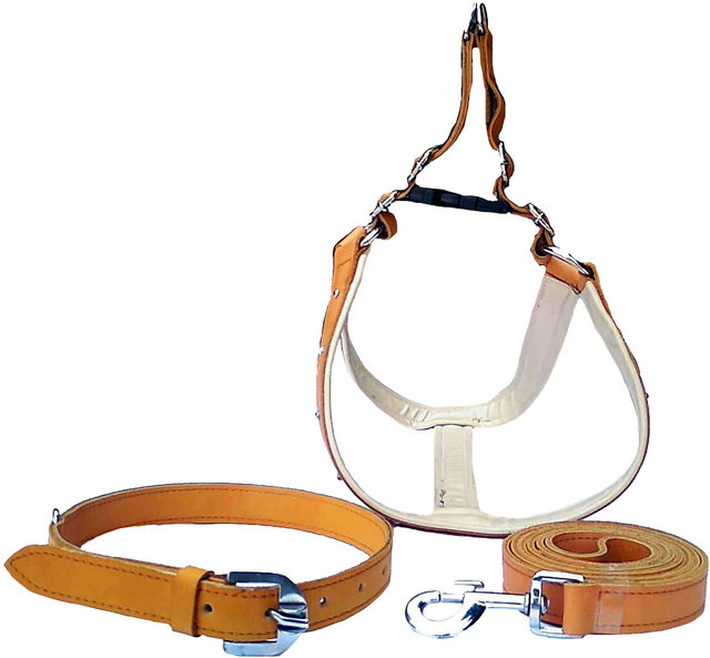 Love Me Luxury Harness and Leash Set – Pomiez.world Shop