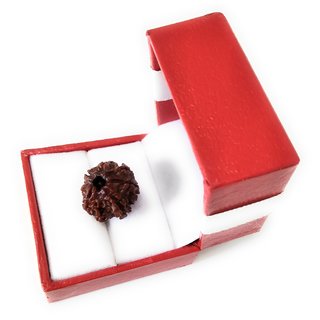 7 Mukhi Rudraksha (7 Face Beads) 7 Mukhi Rudraksha (7 Face Beads)