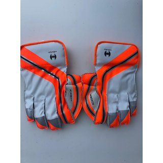 keeping gloves of cricket
