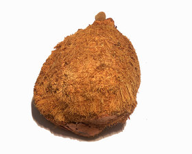 Ekakshi Nariyal (One Eyed Coconut)